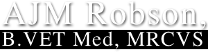 AJM Robson